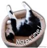 Simon's Naptime!